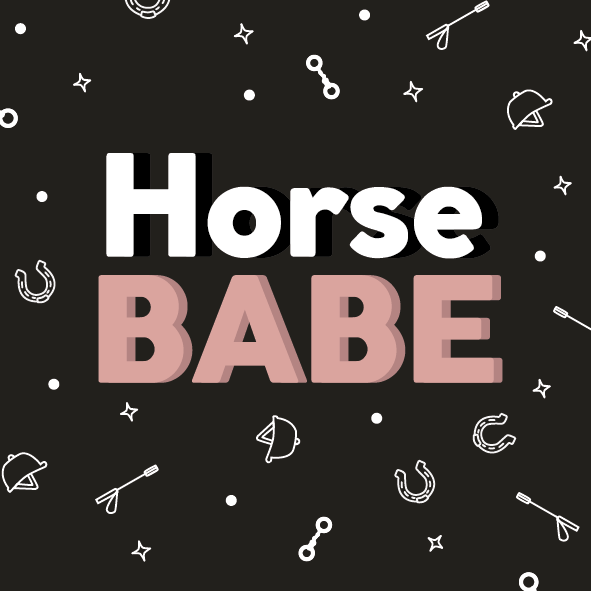 Horse BABE Fridge Magnet