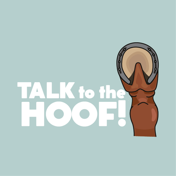 Talk to the HOOF